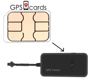 GPS Cards SIM for Whistle 3 GPS Pet Tracker & Activity Monitor Grey IOS Android (Default: Default)